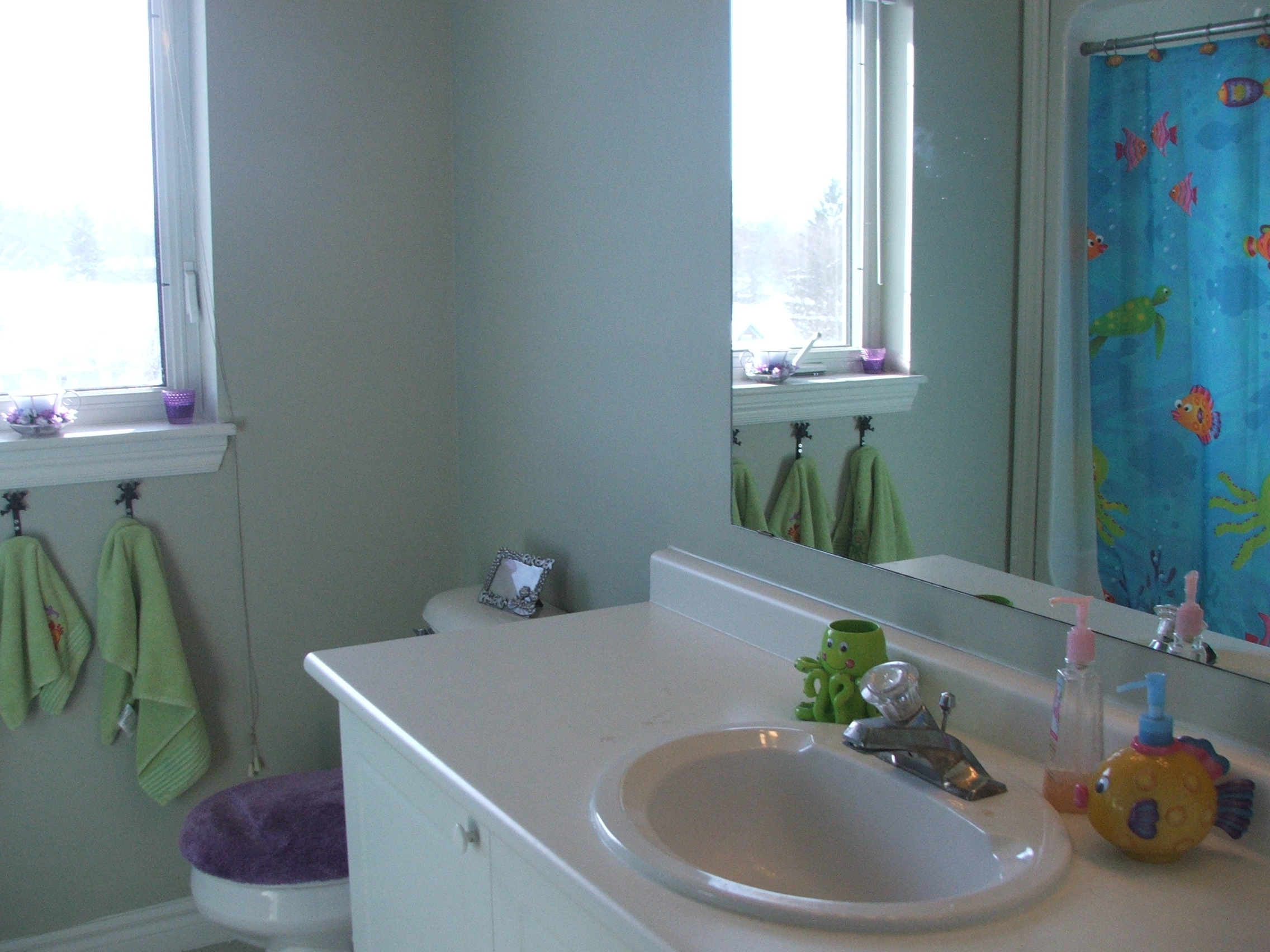 bathroomview.jpg